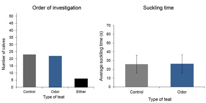 A. Number of calves (n = 51) that investigated a particular type of teat as the first one in the majority of their testing sessions, in the odor test. B. Average suckling time for the control teat (n = 51, mean = 25.99, S.D. = 10.16) and the odor teat (n = 51, mean = 26.30, S.D. = 10.37) in the odor test.