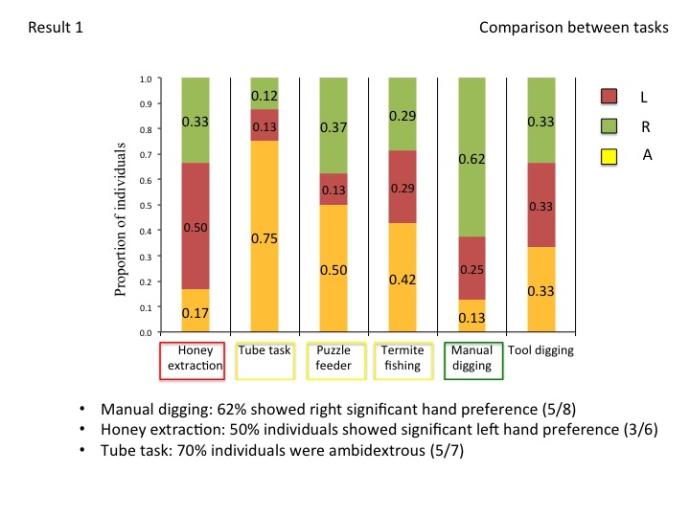 Proportion of individuals classified in the different hand preference groups (green= right-hand preference, yellow= no hand preference, red=left-hand preference) according to their z-scores when tested in the 6 different tasks. The color of the square around the tasks names indicates the biggest hand preference group in the task.